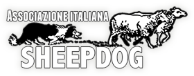 Associazione Italiana Sheepdog