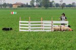 Campionato Mondiale Sheepdog - Associazione Italiana Sheepdog