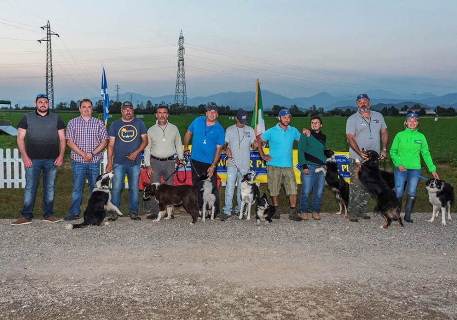 Team Italian Sheepdog Association - Associazione Italiana Sheepdog