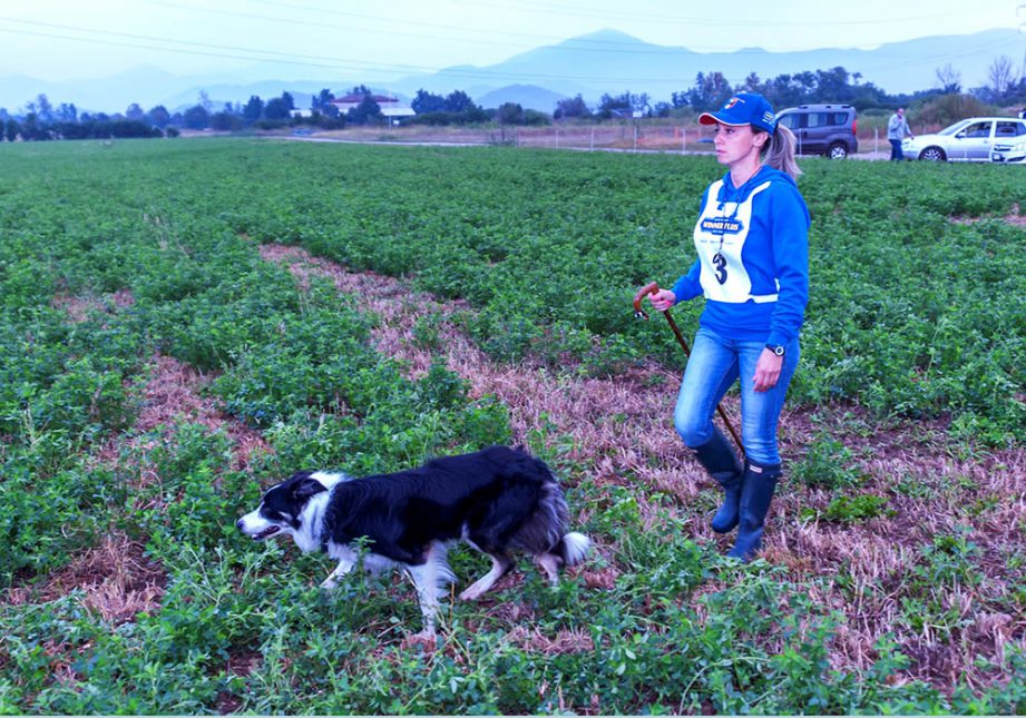 Border Collie con padrona prima di una gara - Associazione Italiana Sheepdog