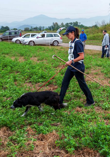 Border Collie con padrona prima di una gara - Associazione Italiana Sheepdog